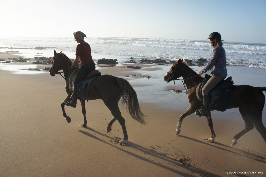 Endurance sur la plage au Maroc @Blog Cheval d'Aventure
