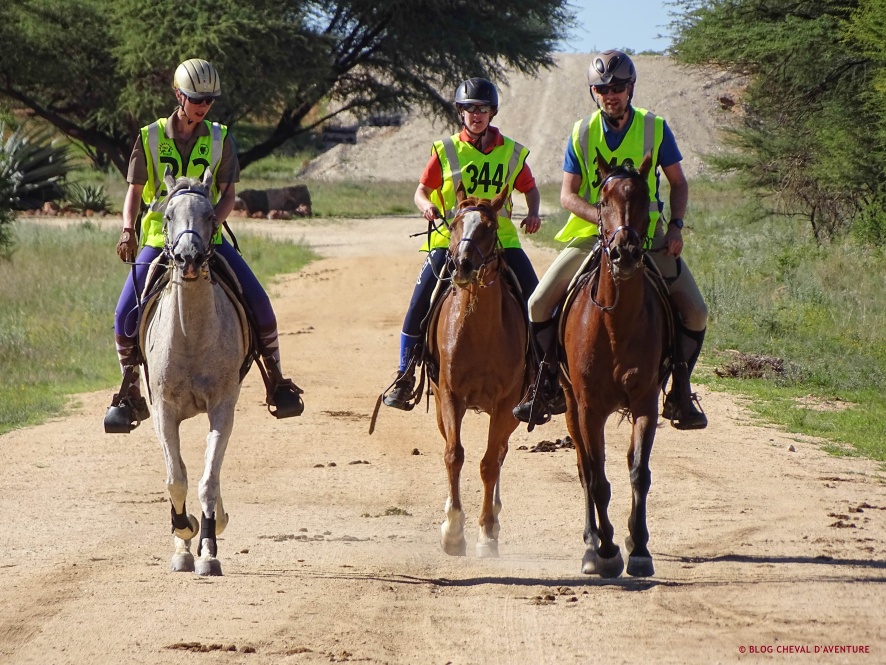 Trois cavaliers à cheval en endurance @Blog Cheval d'Aventure