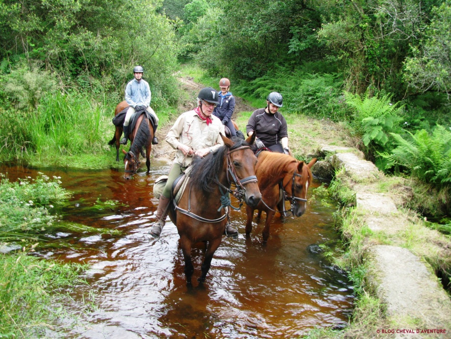 Randonnée à cheval en Bretagne @Blog Cheval d'Aventure