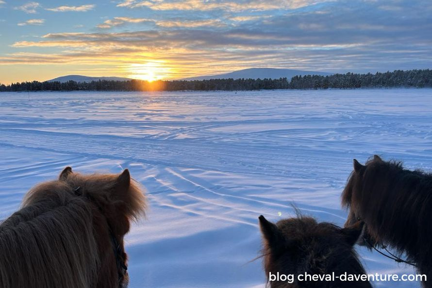 Dépaysement, à cheval au coeur de la Laponie suédoise