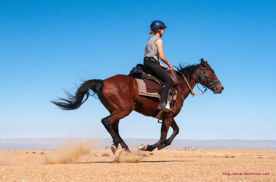 Antje bien équipée pour galoper dans le désert du  Namib @Blog Cheval d'Aventure
