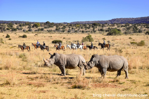 quand partir en safari à cheval afrique du sud